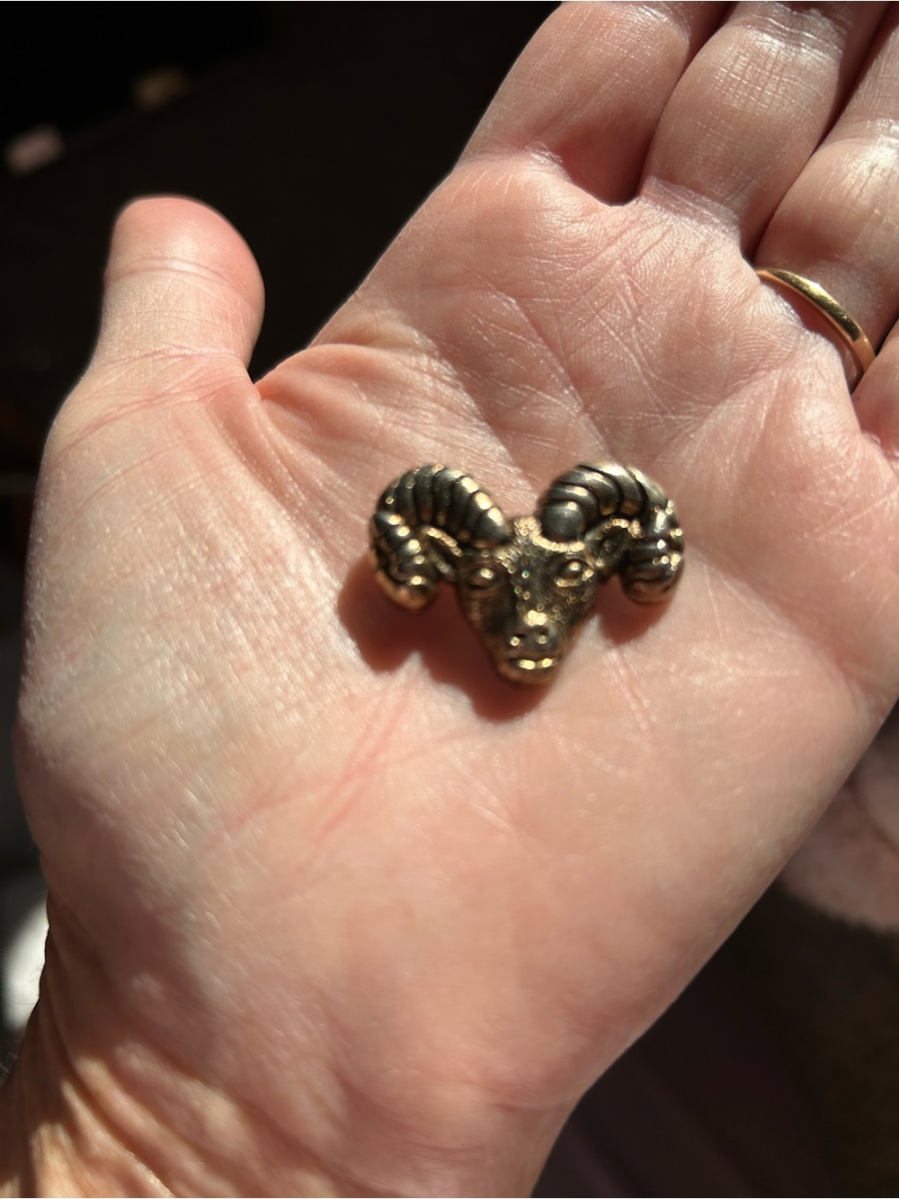 Vintage Rams Head LAMB Pin canada